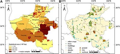A new method for classifying maize by combining the phenological information of multiple satellite-based spectral bands
